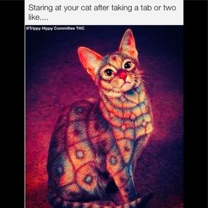 Hope everyone is staying safe out there! ✌️🧡